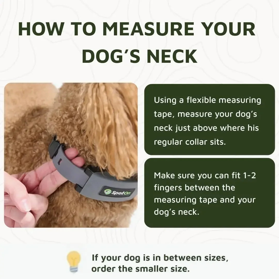 GPS Wireless Dog Fence Collar, Accurate And Reliable, No Subscription