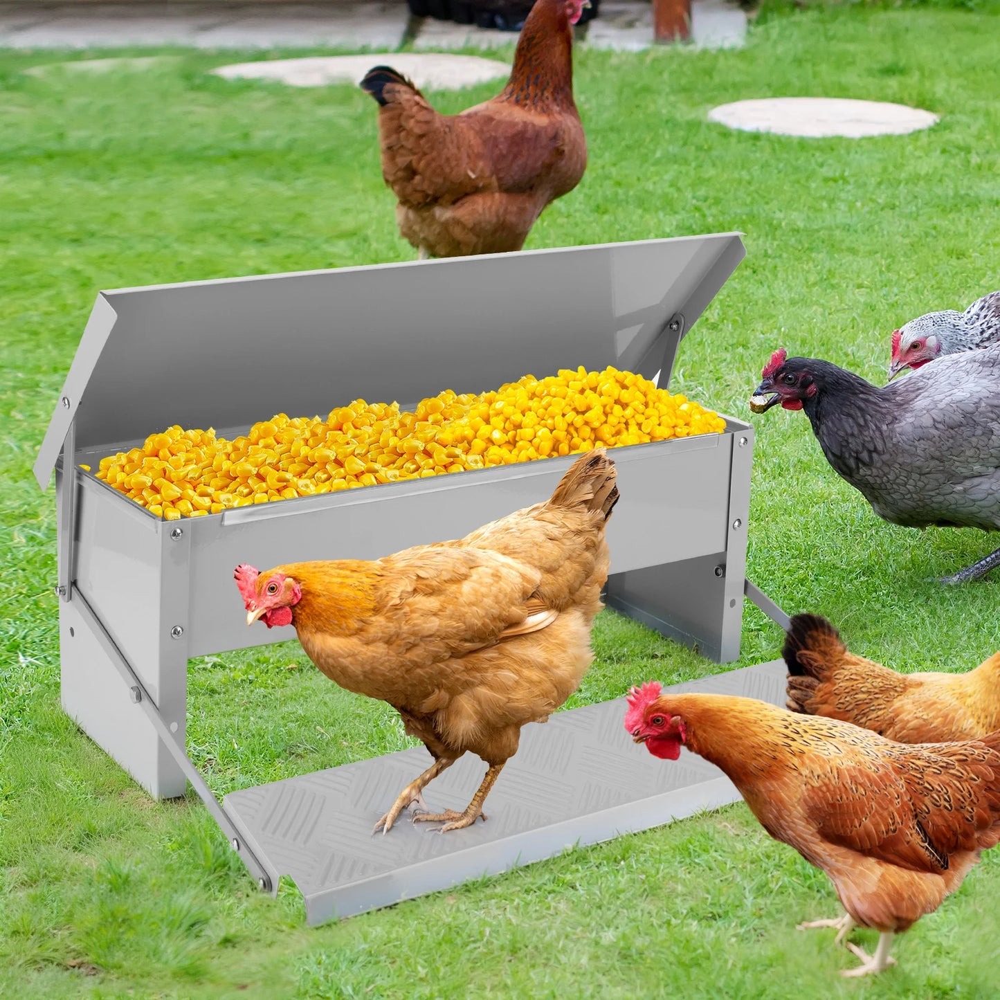 Automatic Chicken Feeder With Weatherproof Lid Treadle Stainless Steel