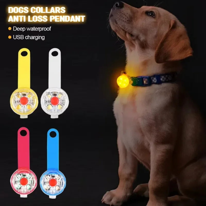 USB Rechargeable LED Dog Collar With Weatherproof Safety Light