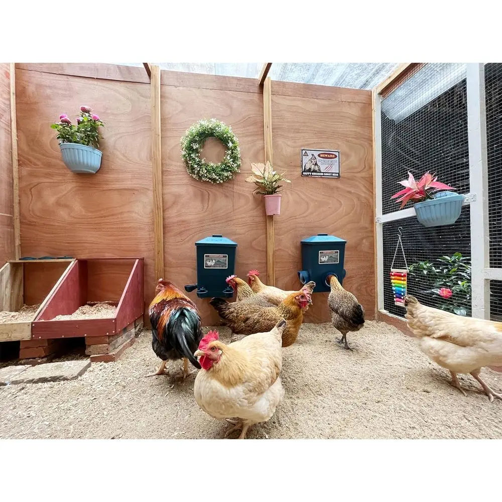 Automatic Port and Cup Waterer Set for Chicken Coop