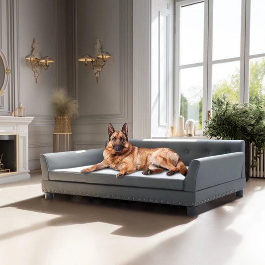 BINGOPAW Leather Rectangle Elevated Dog Bed Durable Modern Sofa