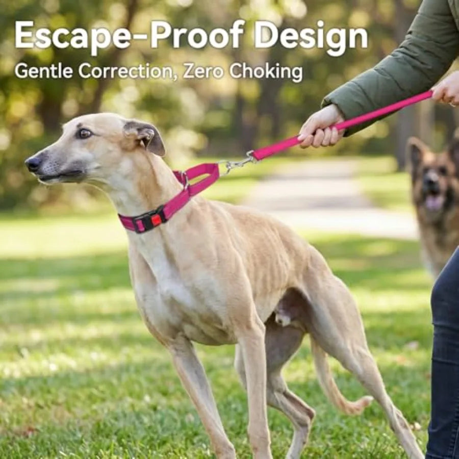 Reflective Martingale Dog Collar With Safety Lock Buckle No Slip
