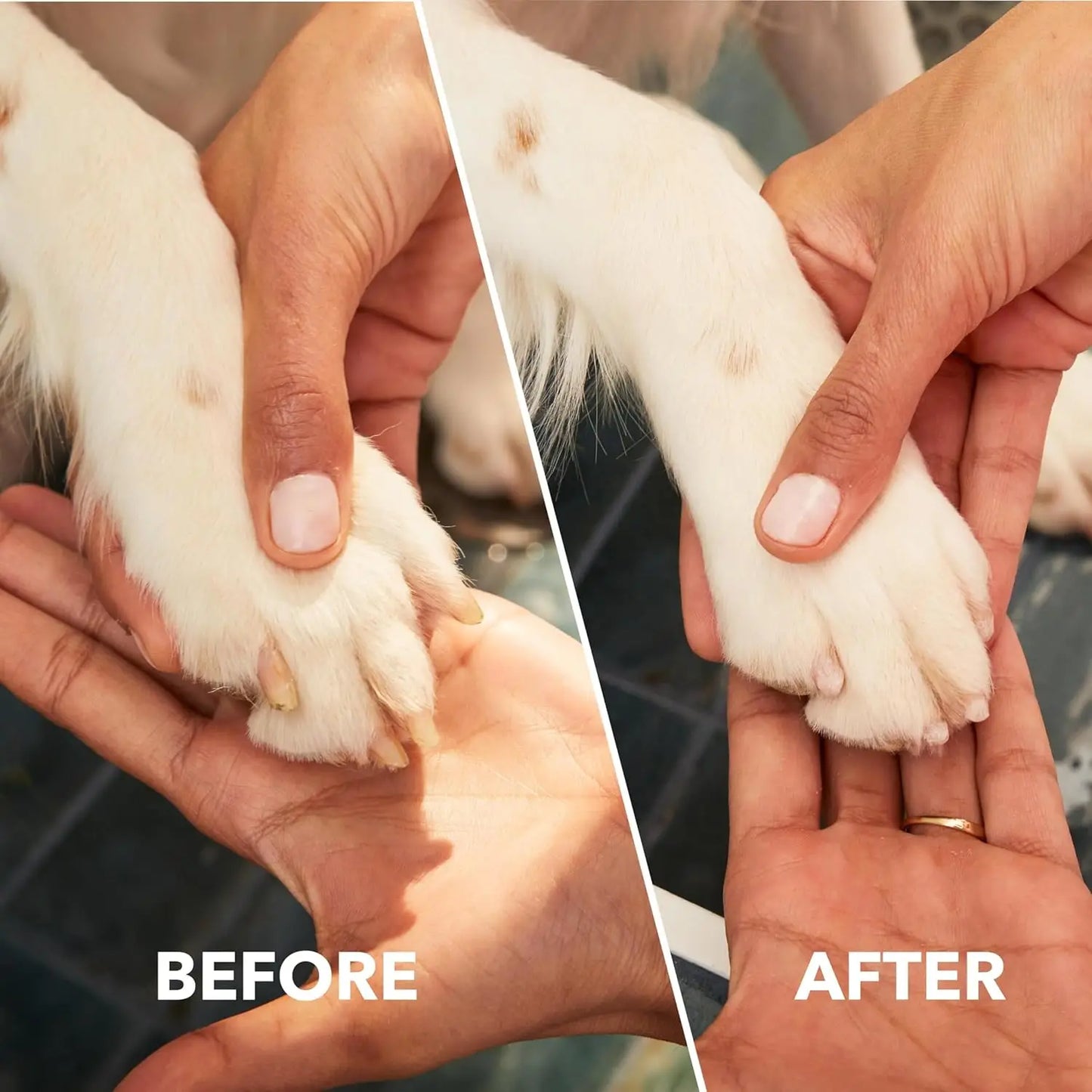 Cordless Pet Nail Grinder And Trimmer Kit For Dogs Cats