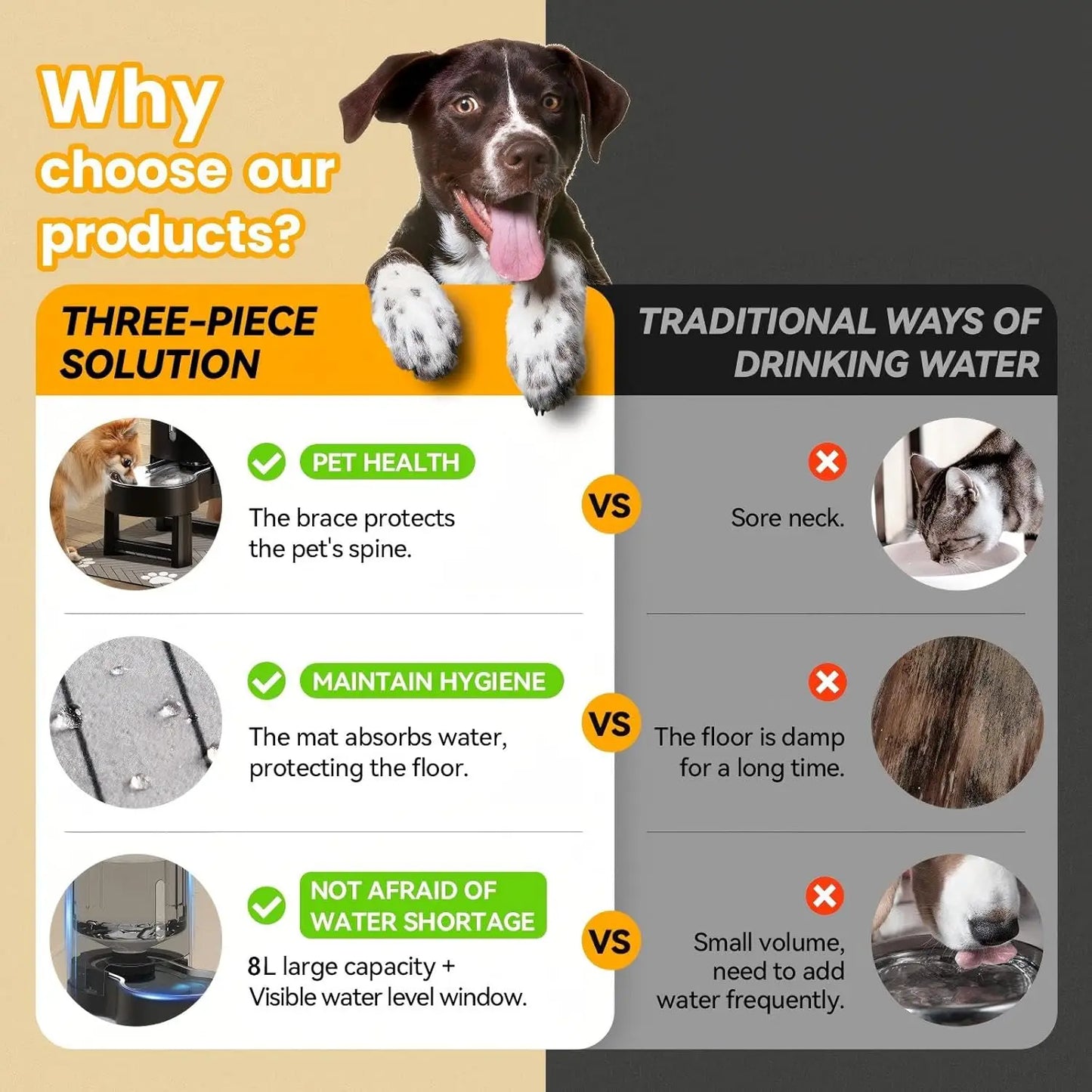 Elevated Dog Water Dispenser With Mat Quiet Easy Clean