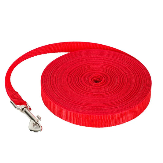 Reflective Nylon Dog Leash For Outdoor Training And All Dogs