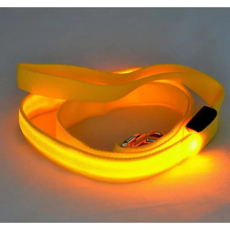 Flashing LED Dog Leash And Harness With Glowing Safety Light
