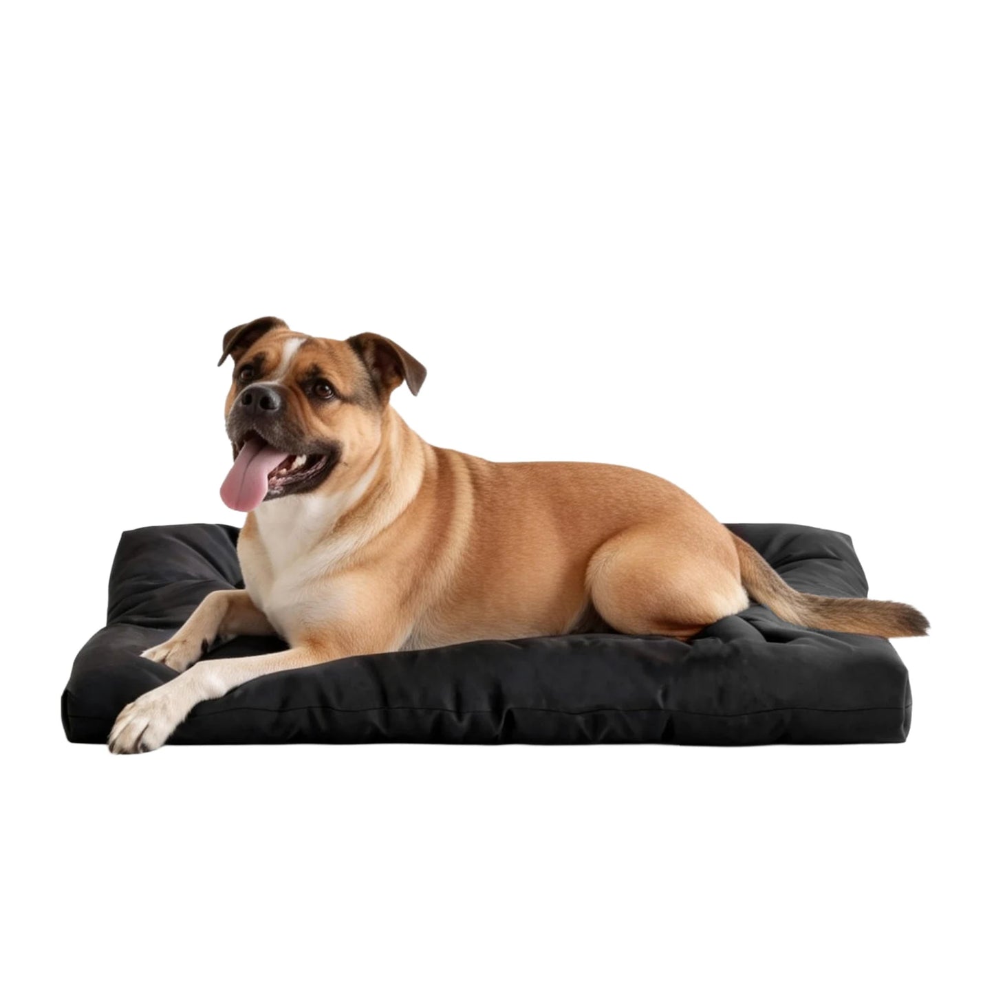 Chew Proof Dog Bed Indestructible Kennel Pad Waterproof And Washable