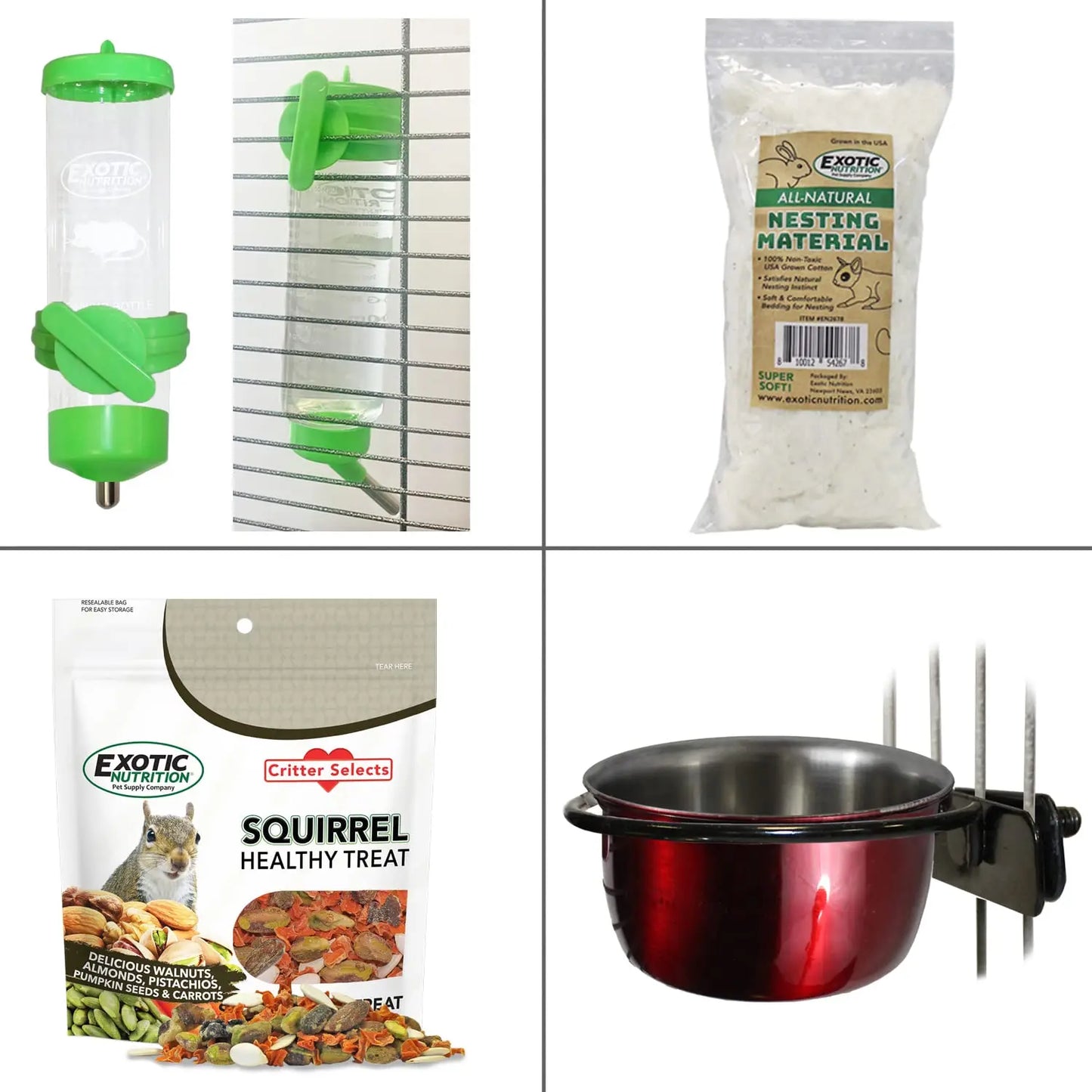 Congo Squirrel Cage Starter Kit With Durable Accessories