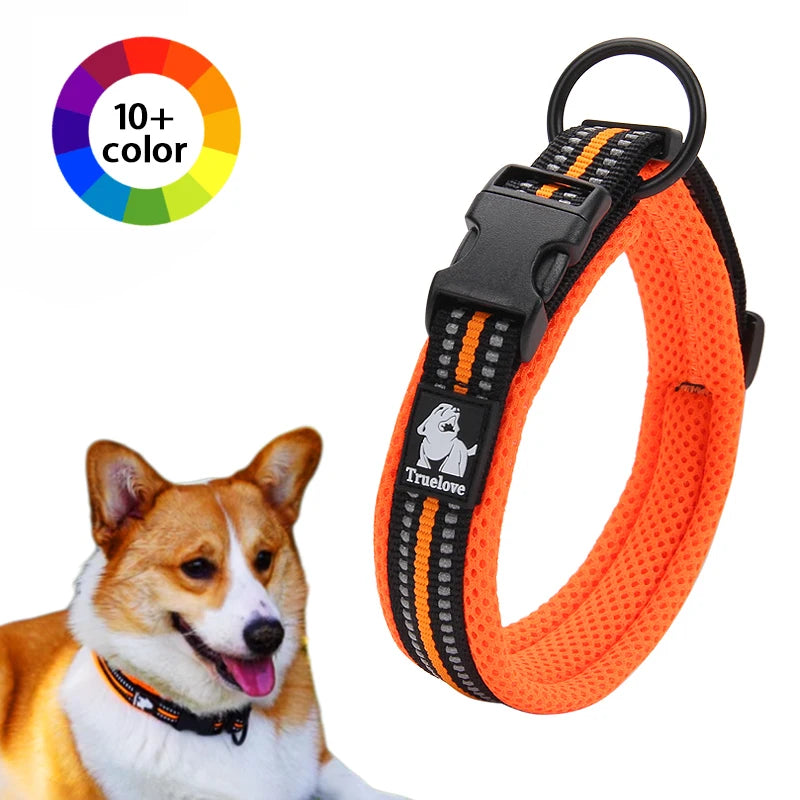 Winhyepet Padded Nylon Dog Collar With Reflective Trim And Buckle