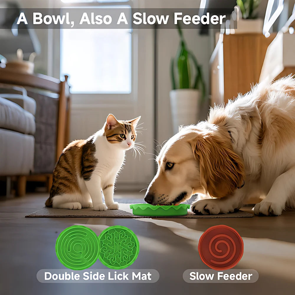 5-in-1 Burger Pet Bowls Set With Tilted, Elevated, Slow Feeder