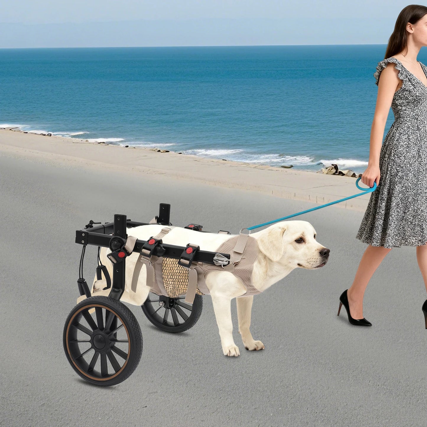 Dog Walking Aid Adjustable Wheelchair For Hind Leg Support