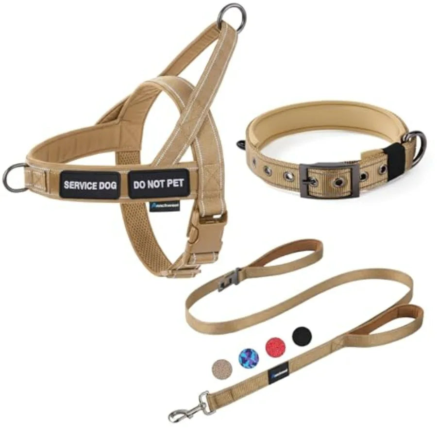 No Pull Dog Harness And Leash Set With Seatbelt Clip