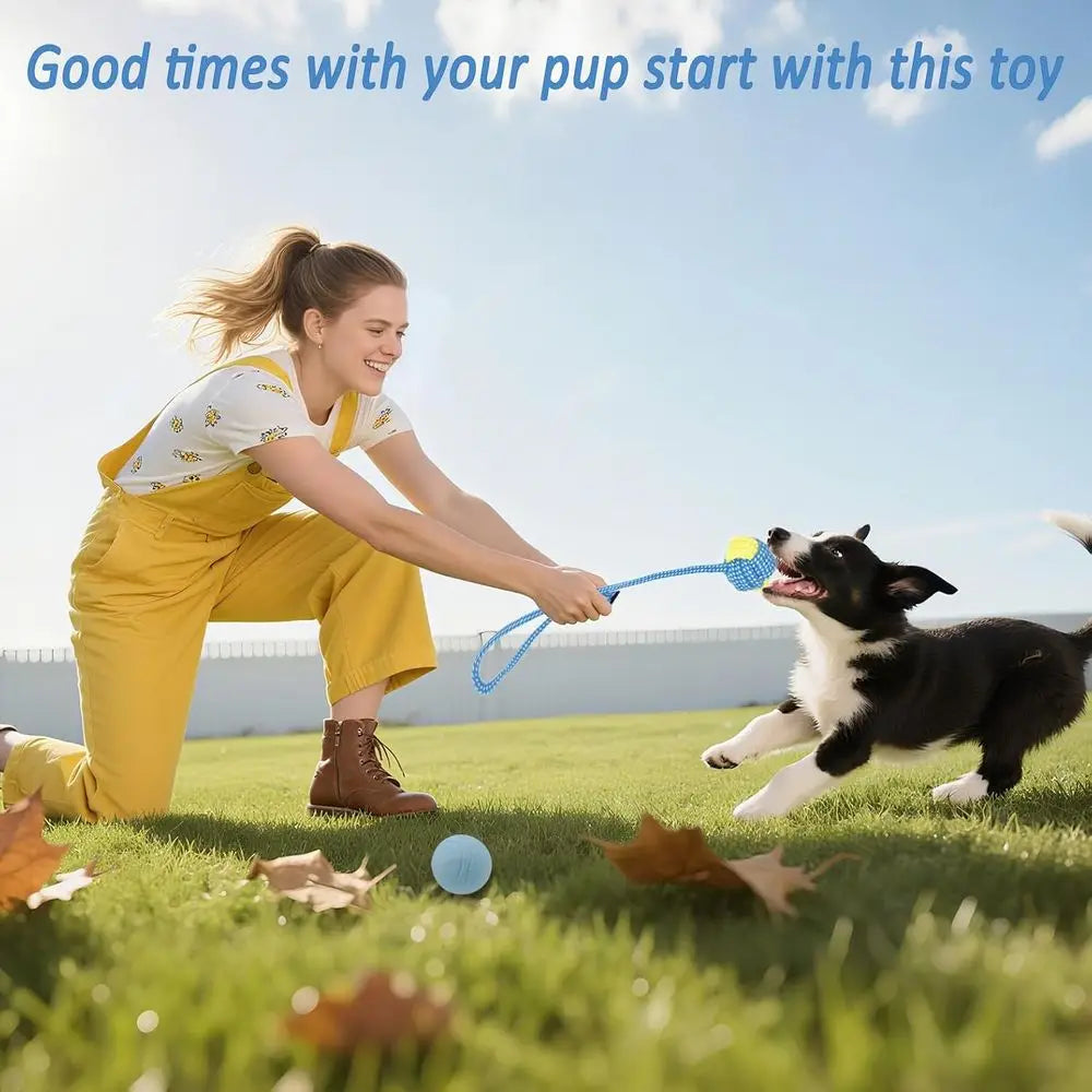 Puppy Chew Toy Bundle 20 Pack Teething Toys for Dogs