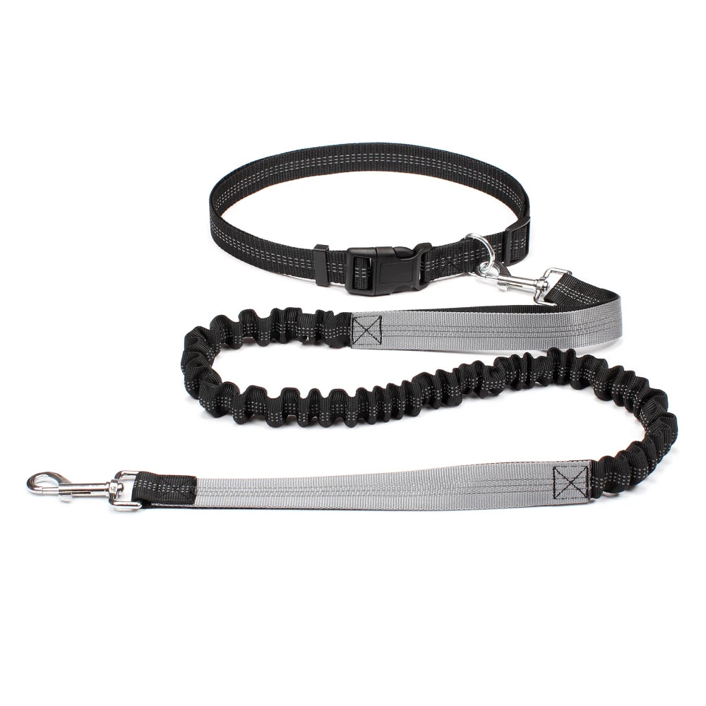 NONECN Hands Free Dog Leash Waist Belt for Walking