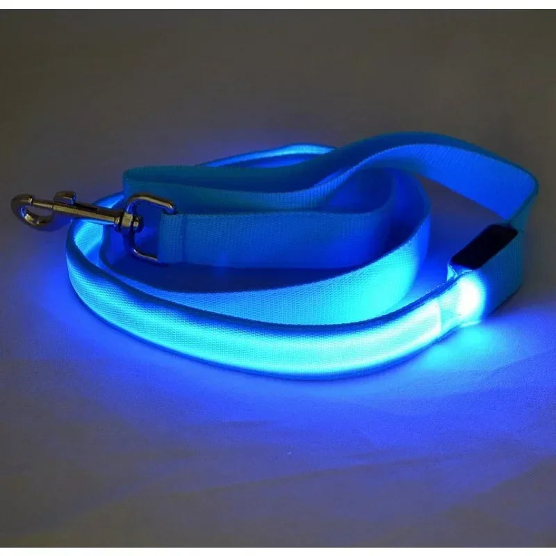 Flashing LED Dog Leash And Harness With Glowing Safety Light