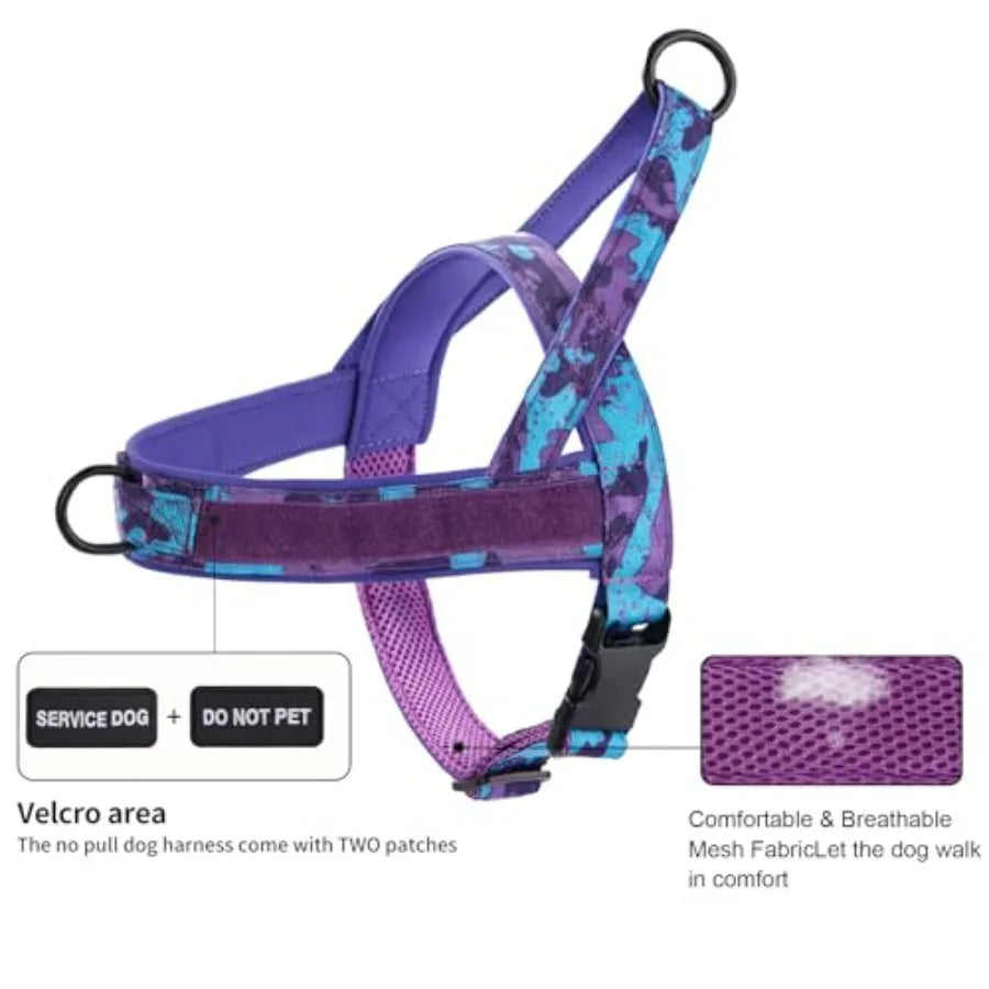 No Pull Dog Harness And Leash Set With Seatbelt Clip
