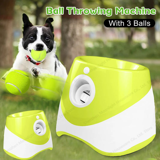 Automatic Dog Ball Launcher With Three Tennis Balls