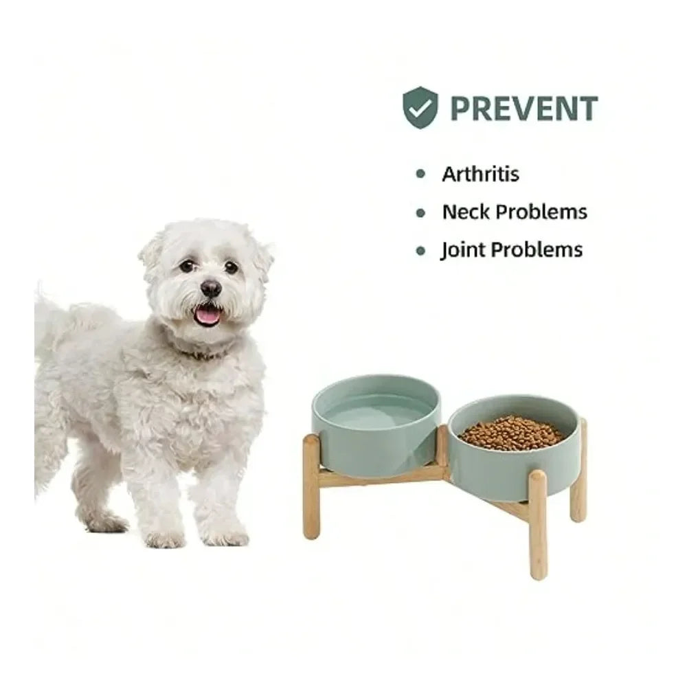 Raised 6.1 Inch Dog Bowl With Stand For Small And Medium Dogs