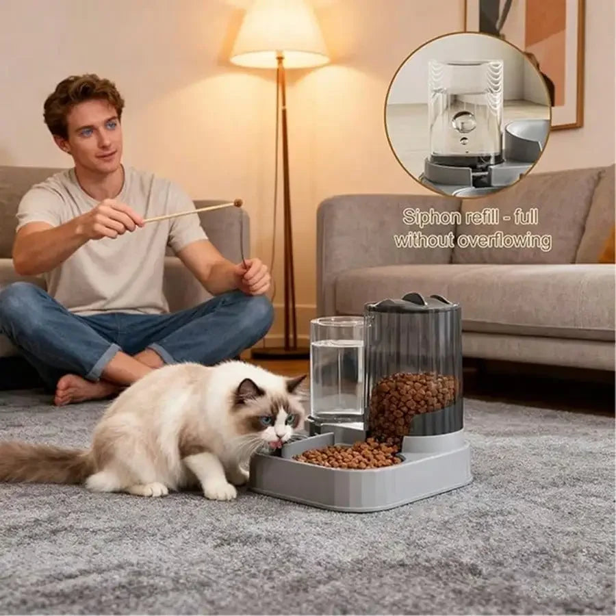 2 In 1 Pet Automatic Feeder And Waterer Bowl For Pets