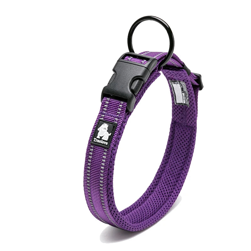 Winhyepet Padded Nylon Dog Collar With Reflective Trim And Buckle