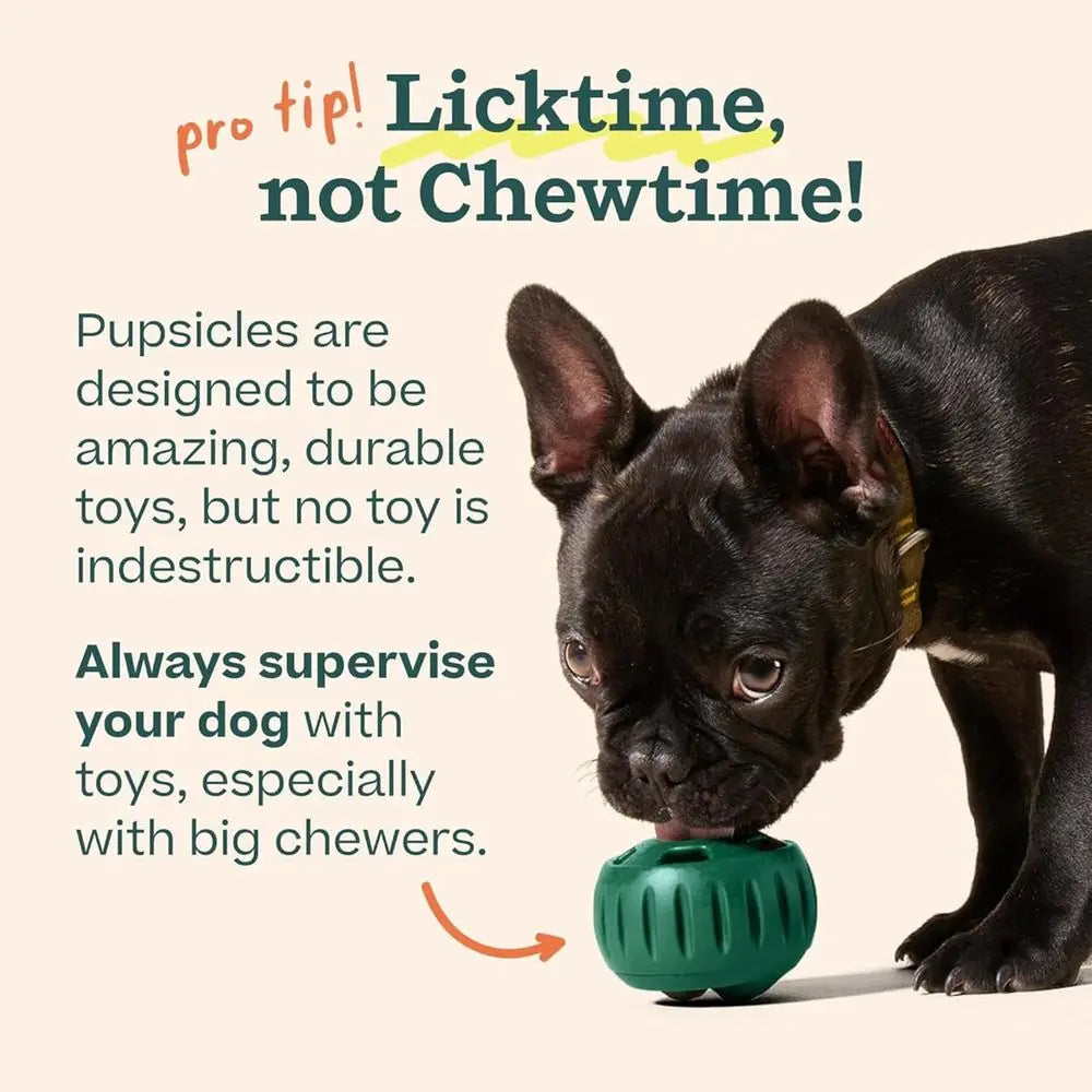 Long-Lasting Interactive Dog Ball Toy for Busy Pups