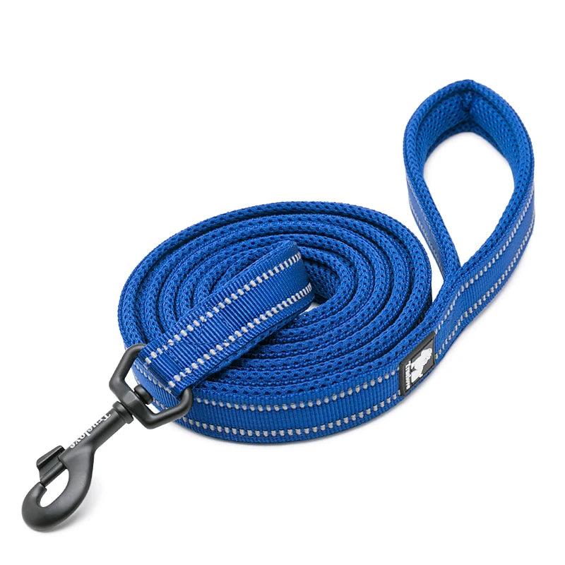 Winhyepet Padded Handle Dog Leash Durable 200cm Training Reflective