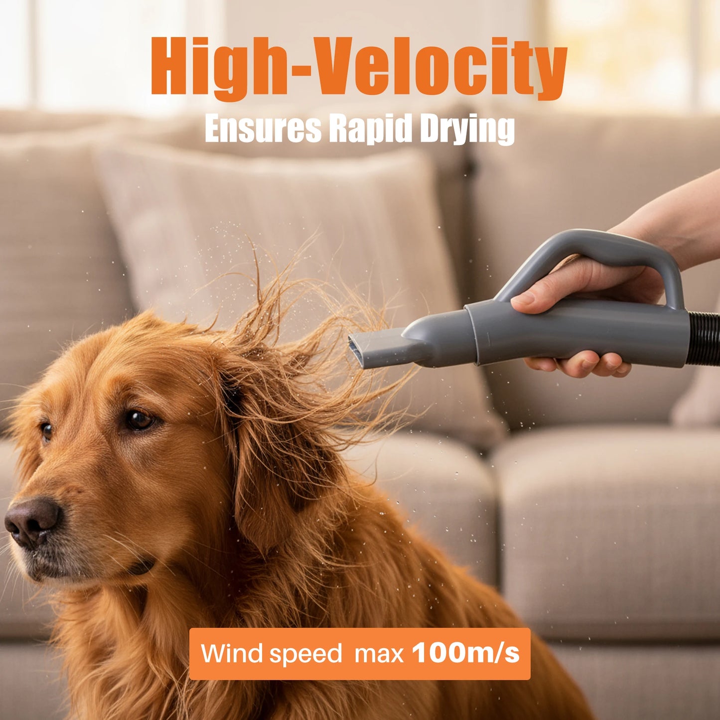 Pet Blow Dryer Grooming Vacuum Kit With 4 Nozzles And Cord