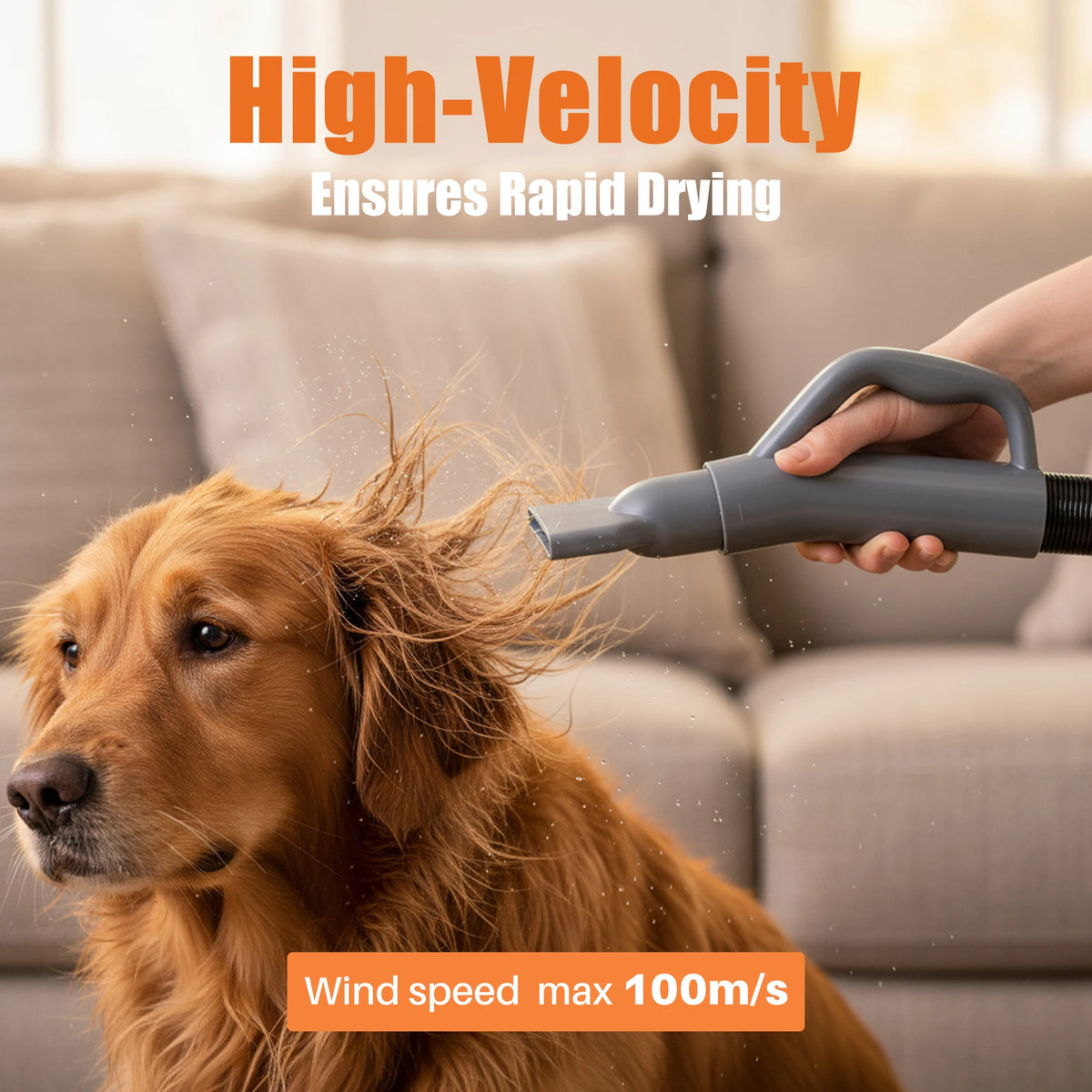 JHK Pet Grooming Vacuum Kit With Low Noise Blow Dryer