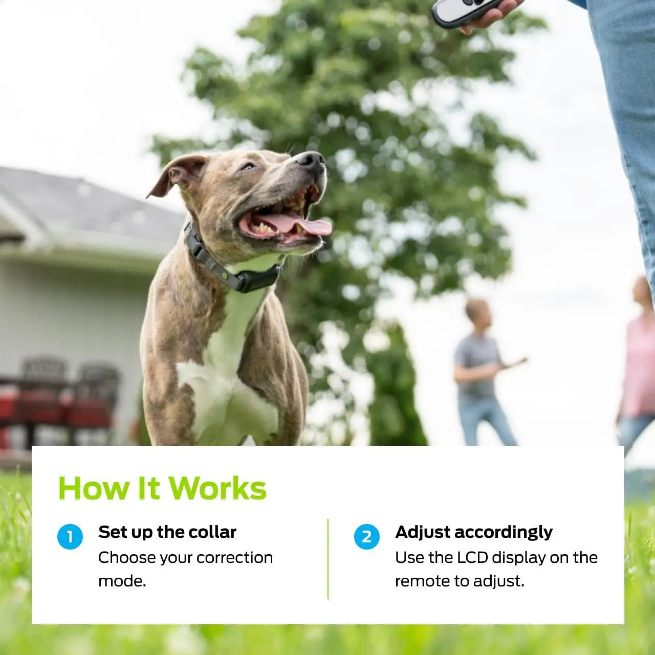Dog Training Collar With Remote 1000ft Range Waterproof