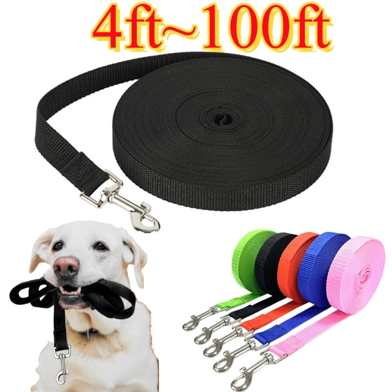 Reflective Nylon Dog Leash For Outdoor Training And All Dogs
