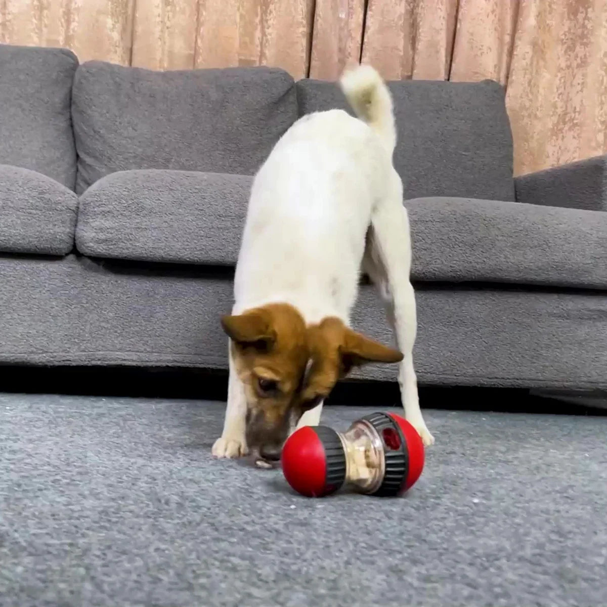 Holapet Interactive Dog Toy Ball Slow Feeder for Pets
