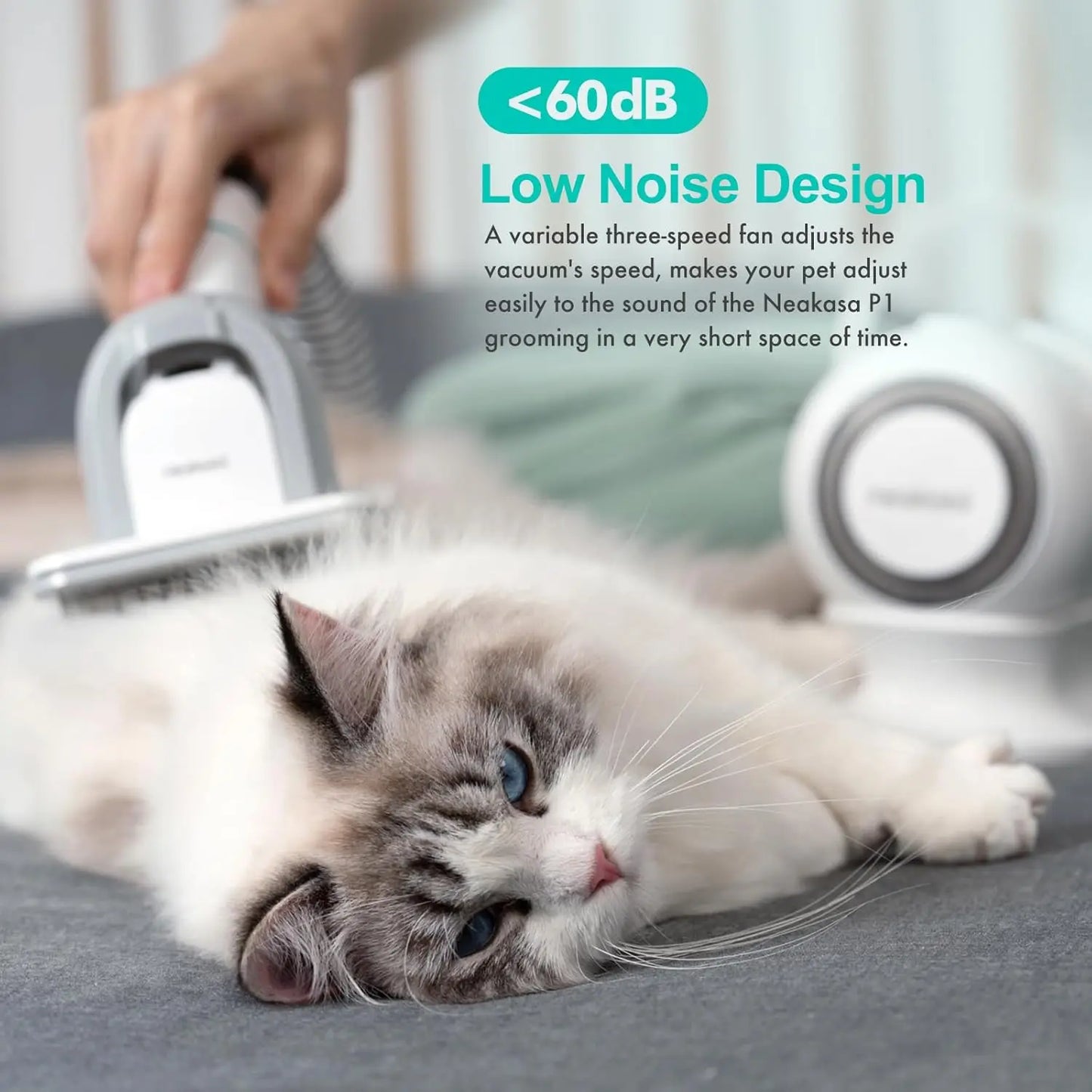 Professional Pet Grooming Kit With Vacuum Suction, Low Noise Design