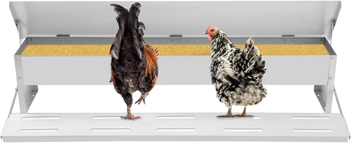 Automatic Galvanized Chicken Feeder With Weatherproof Lid Treadle
