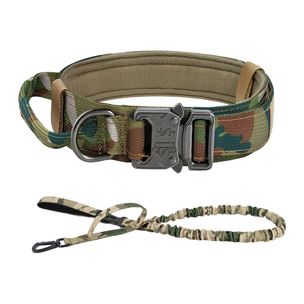 PETRAVEL Adjustable Dog Training Collar With Leash Set