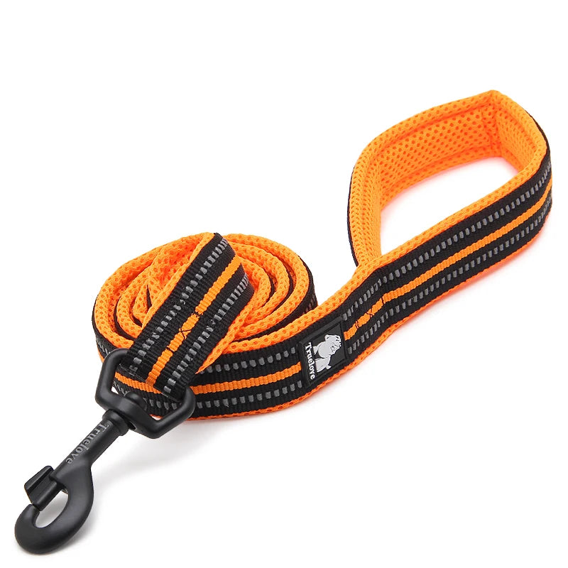 Winhyepet Padded Handle Dog Leash Durable 200cm Training Reflective