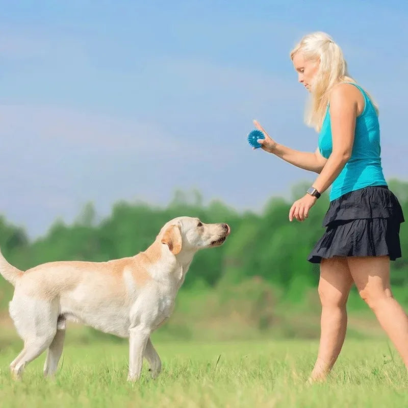 Rubber Squeaky Dog Toy Ball For Teeth Cleaning And Training