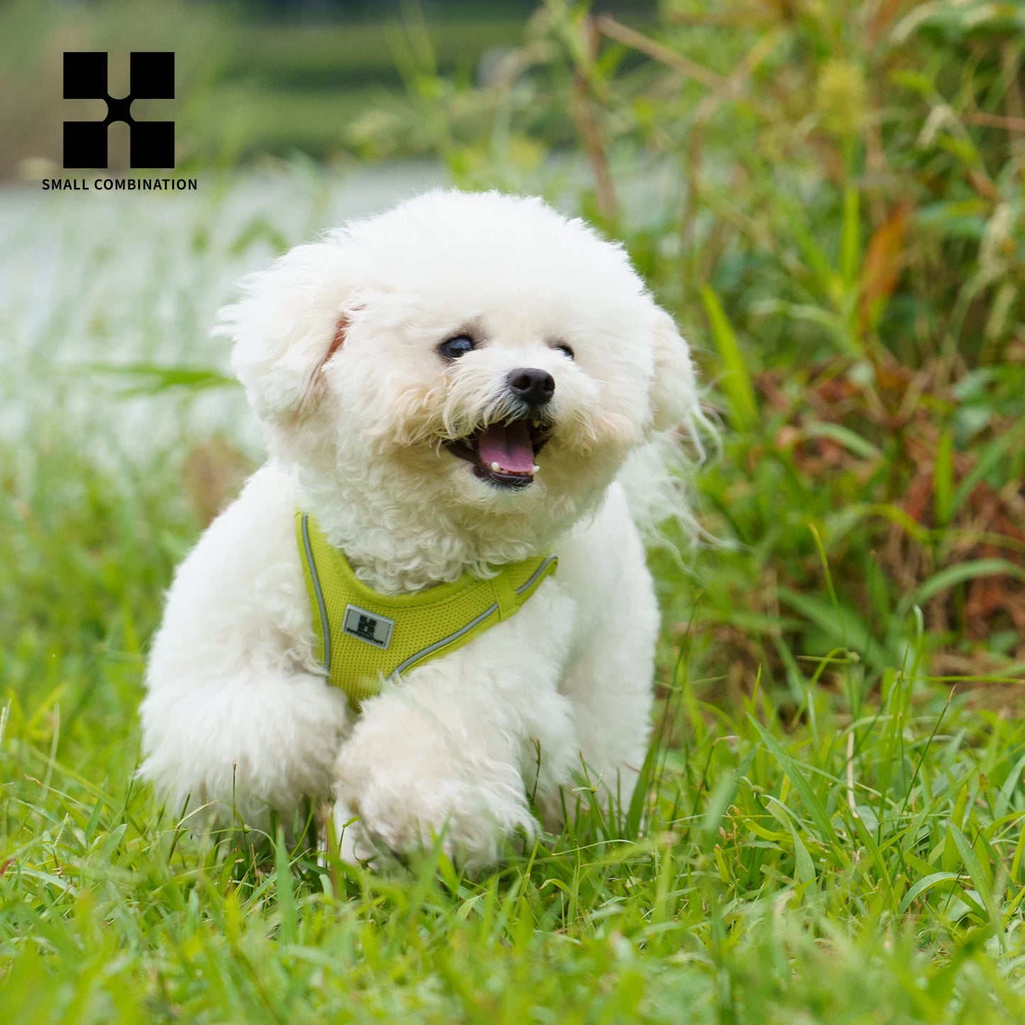Dog Harness Leash Set for Small-To-Medium Dogs Reflective Adjustable