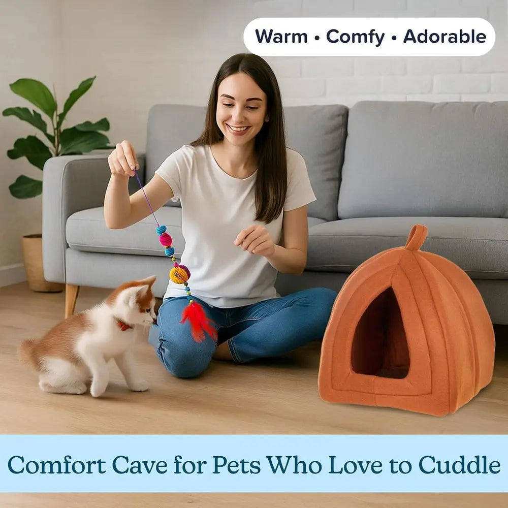 Indoor Cat Bed With Removable Foam Cushion Cat Tent