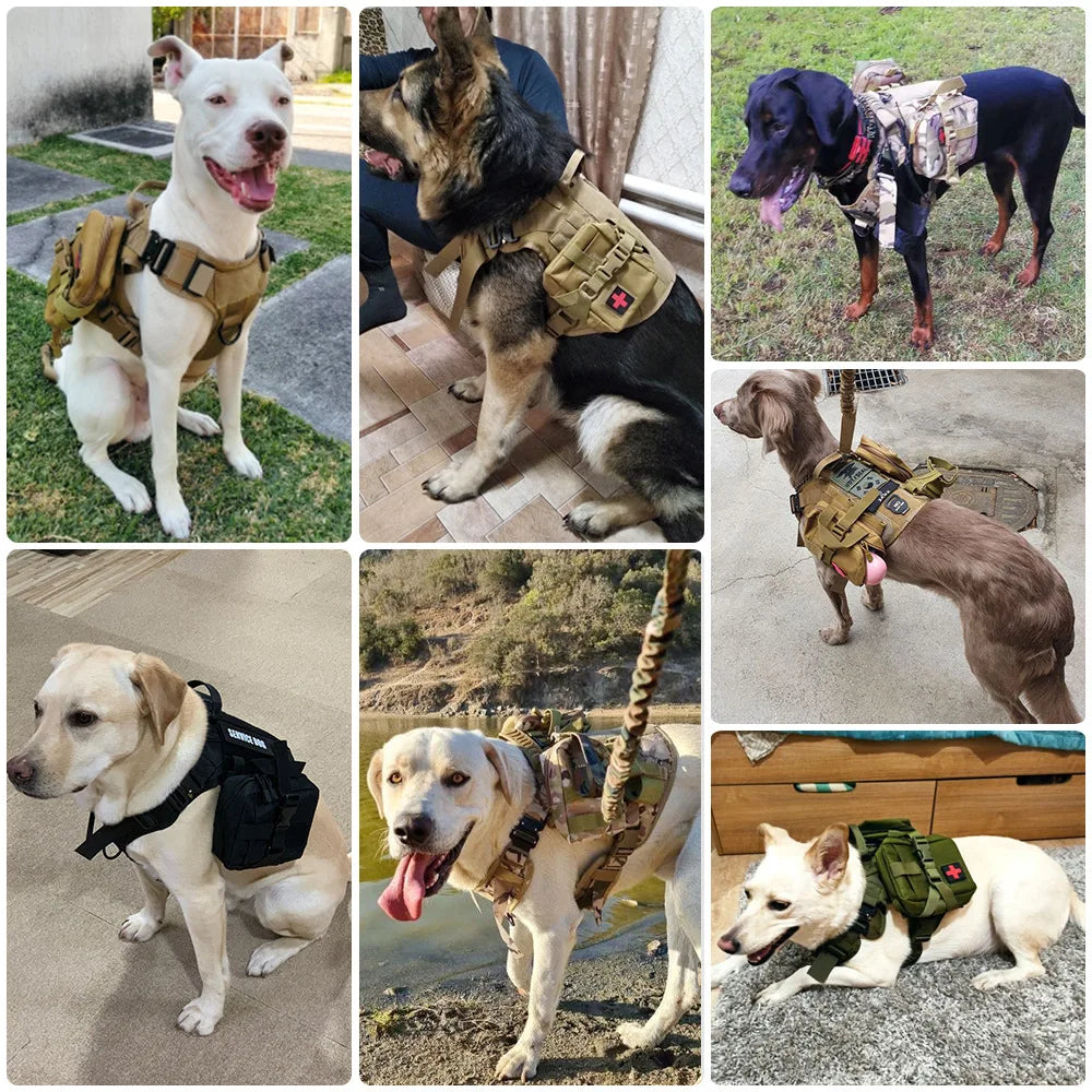 PETRAVEL Dog Tactical Molle Pouches Set For Harness Training