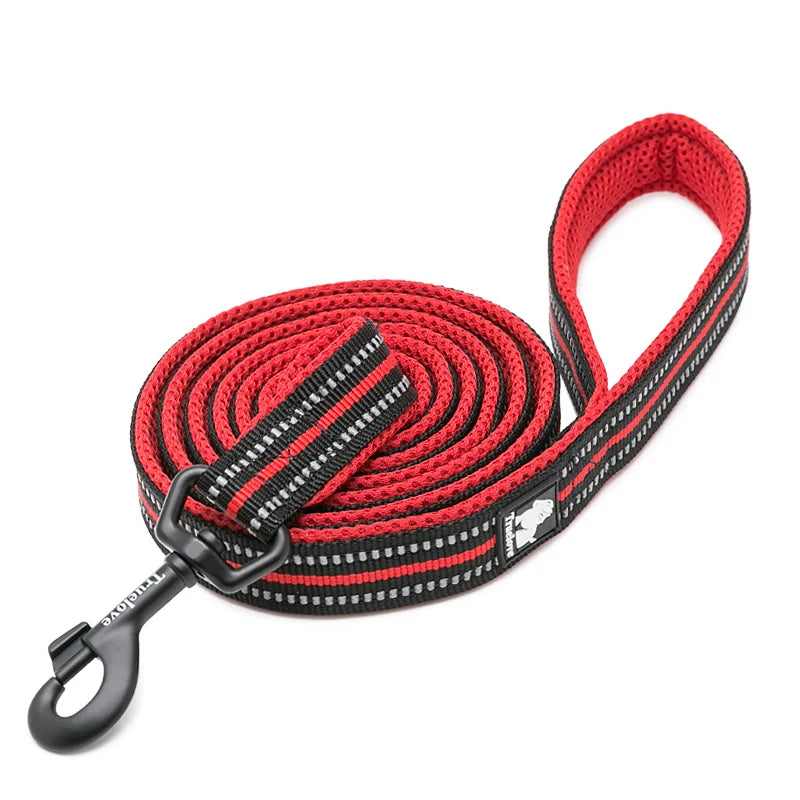 Winhyepet Padded Handle Dog Leash Durable 200cm Training Reflective