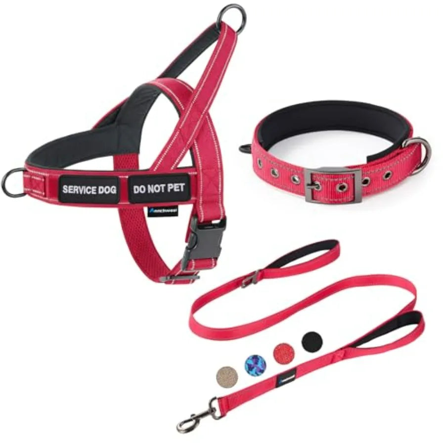 No Pull Dog Harness And Leash Set With Seatbelt Clip