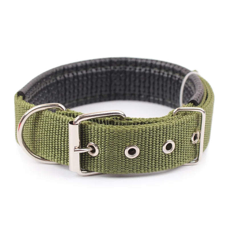 Durable Breakaway Nylon Dog Collar For Pet Walking