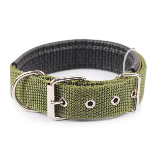 Durable Breakaway Nylon Dog Collar For Pet Walking
