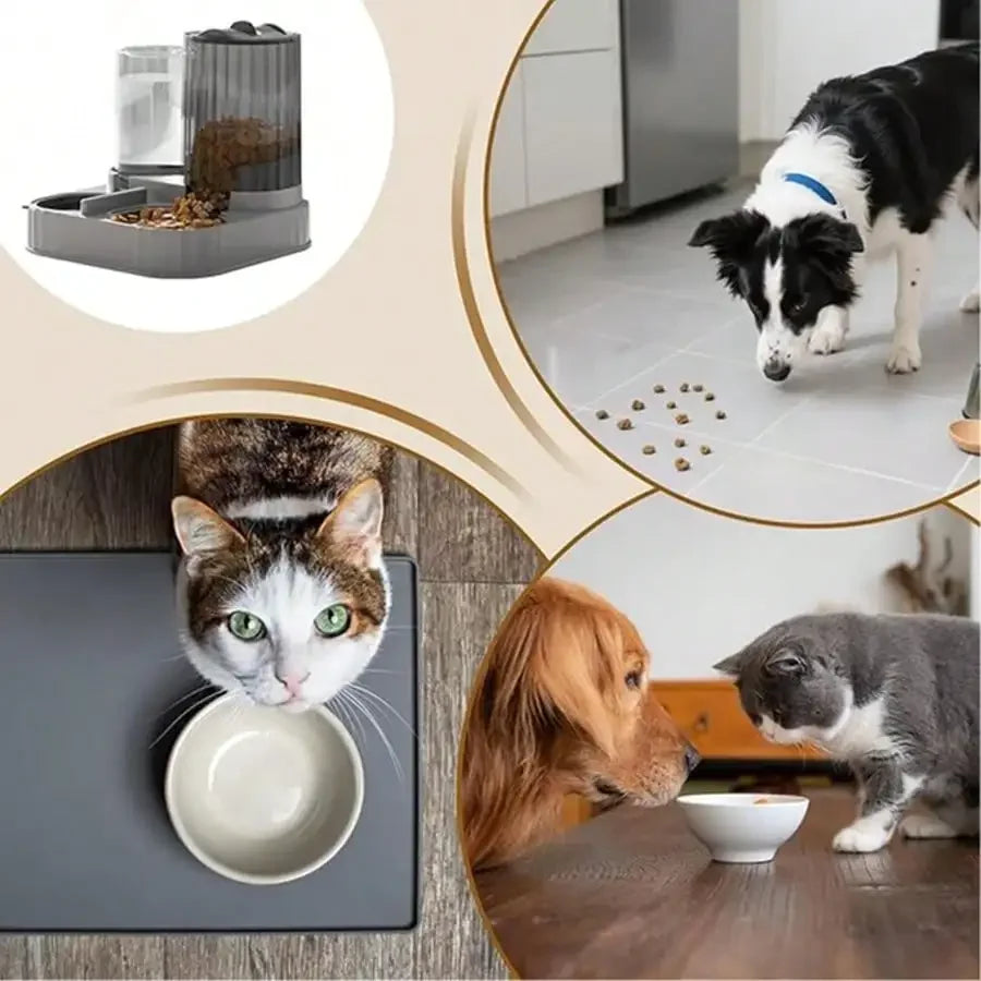 2 In 1 Pet Automatic Feeder And Waterer Bowl For Pets
