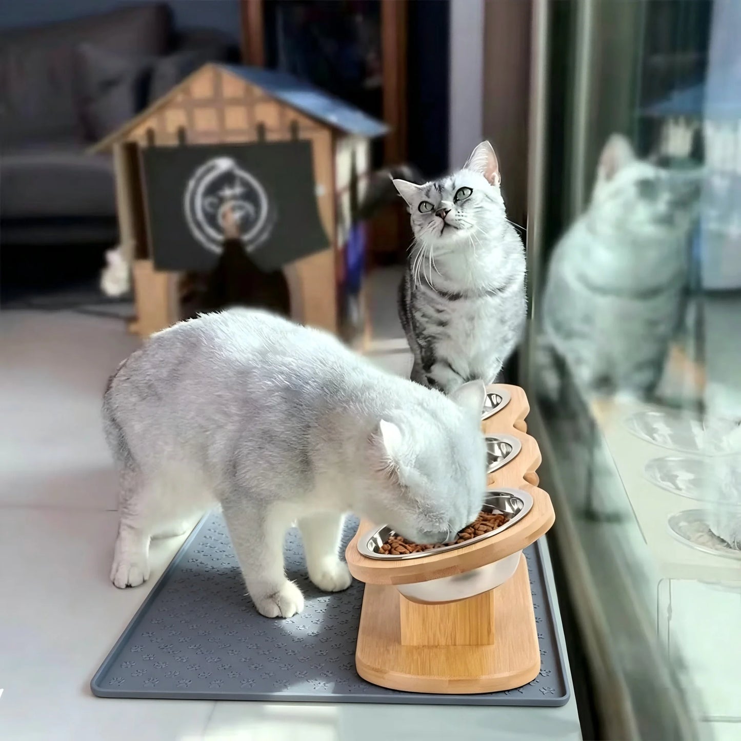 Cat Three Bowls In Raised Feeder With Tilted Wooden Stand