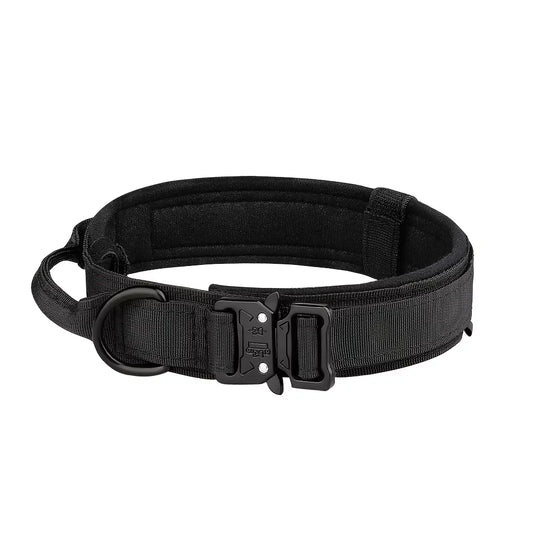 Adjustable Dog Training Collar And Leash Set With Control Handle