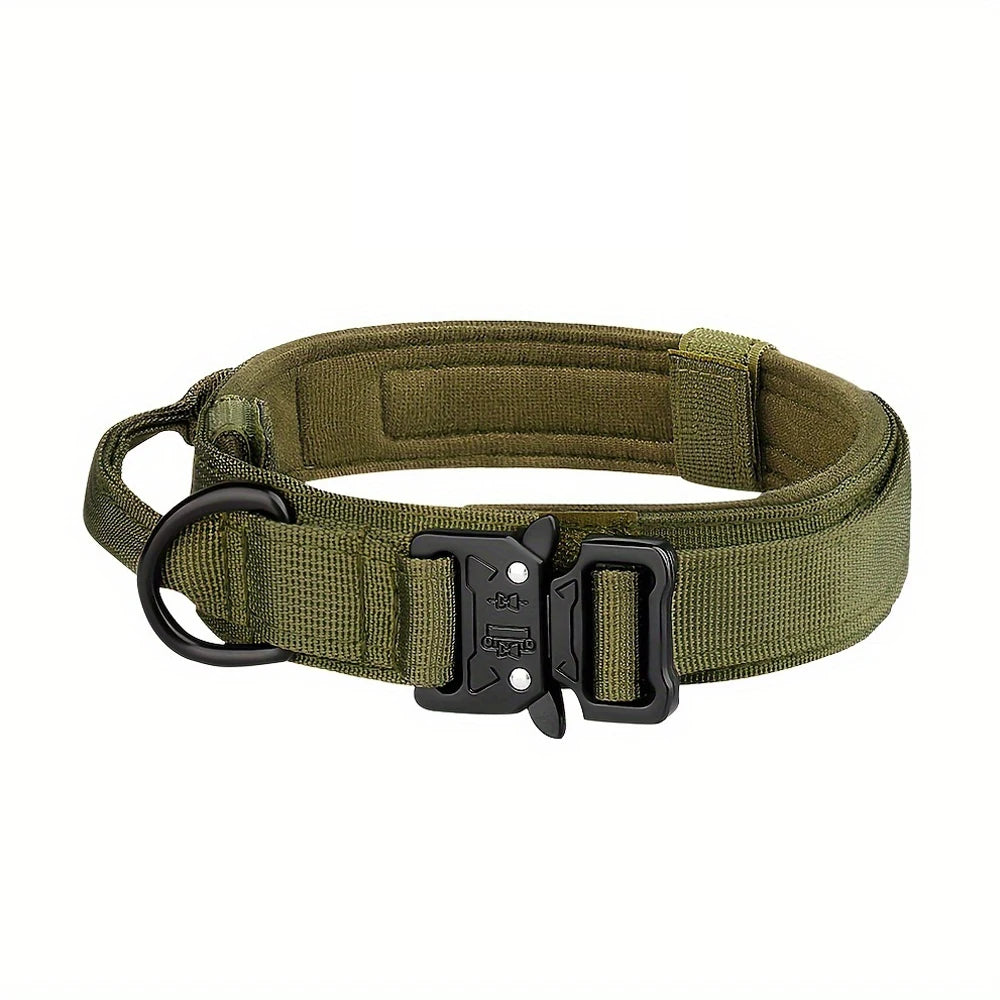 PETRAVEL Adjustable Dog Training Collar With Leash Set