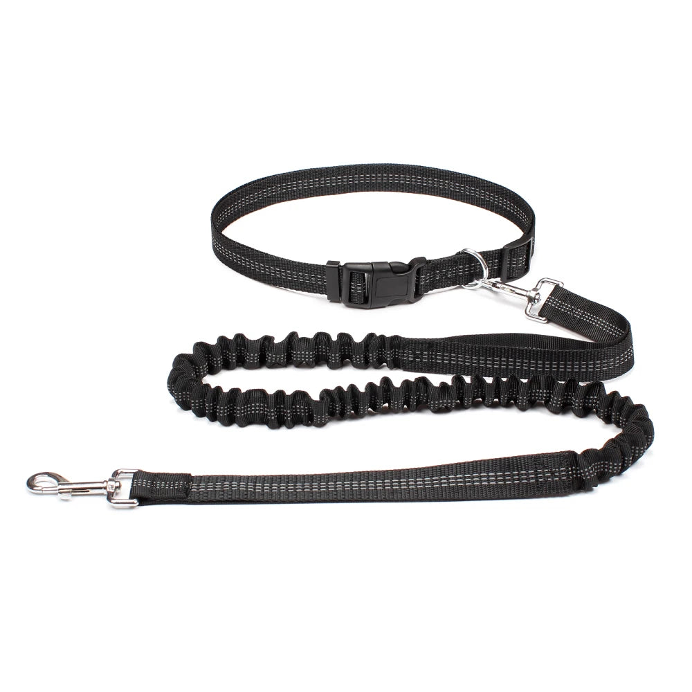 NONECN Hands Free Dog Leash Waist Belt for Walking