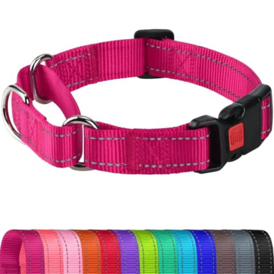 Reflective Martingale Dog Collar With Safety Lock Buckle No Slip