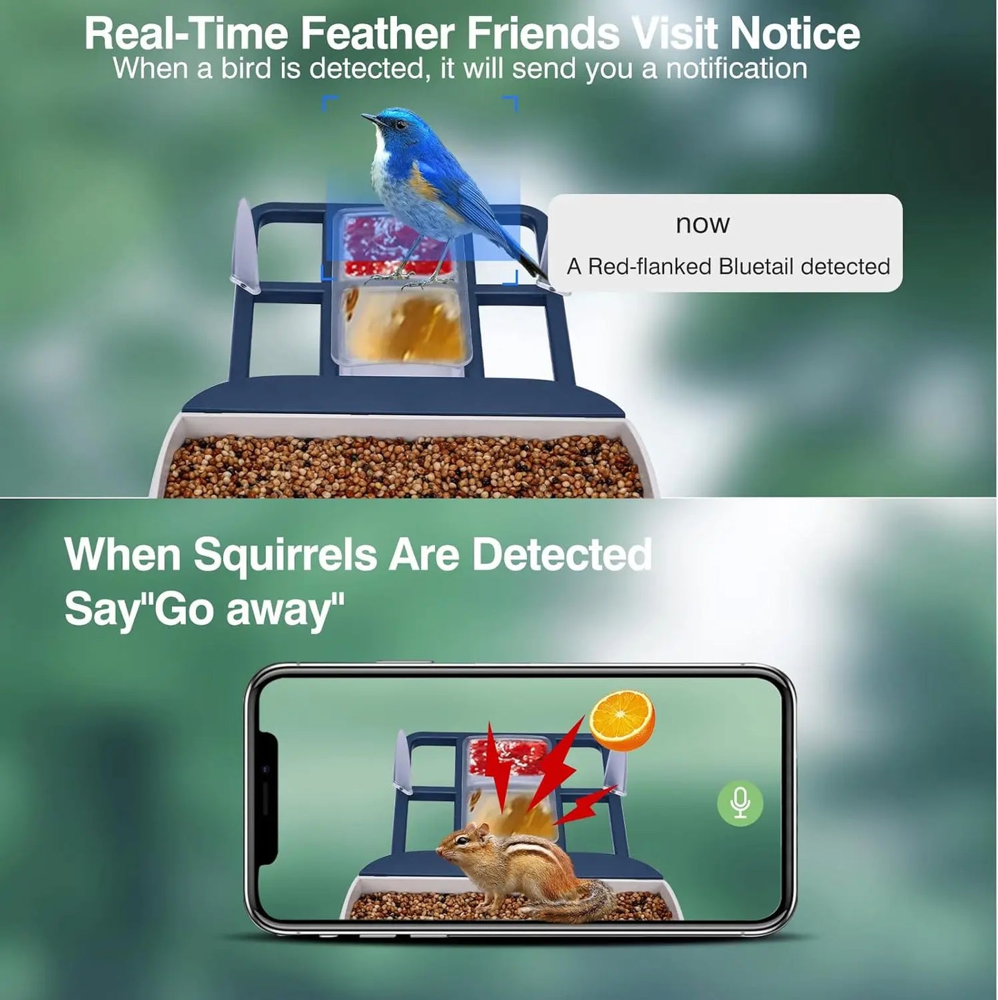 Smart Bird Feeder With Camera AI Species ID 2K Video